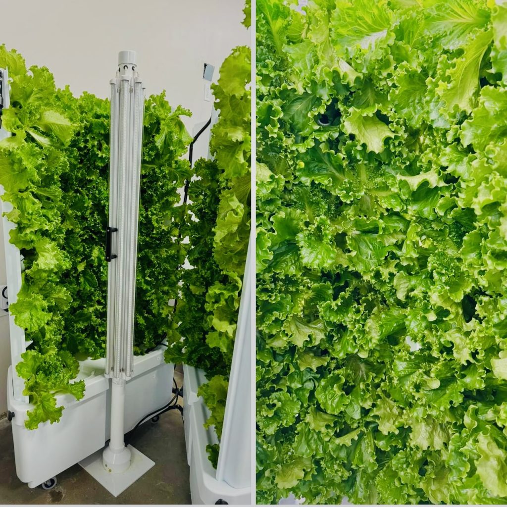 Hydroponic Farming Tower