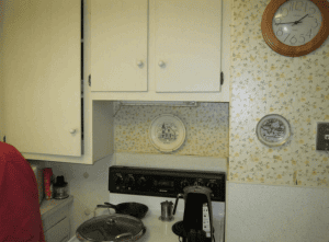 oven before - South Central TN Development District